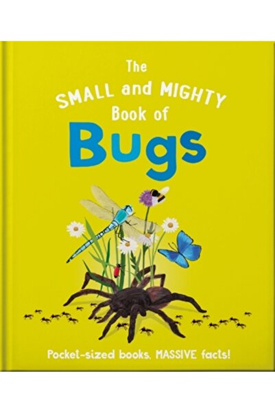 Orange Hippo The Small and Mighty Book of Bugs