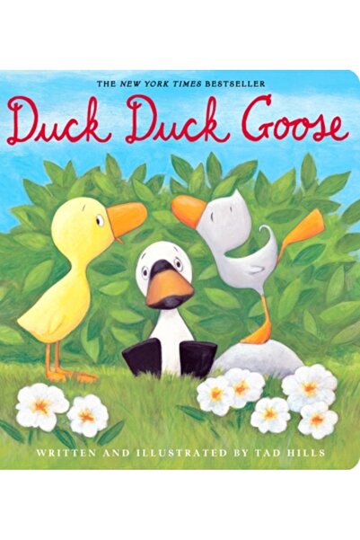 Schwartz & Wade Books Duck, Duck, Goose