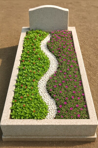 Tunç Botanik MEZAR - KABİR ÇİÇEKLİ BİTKİ SETİ - 90 ADET 2 ÇEŞİT YER ÖRTÜCÜ BİTKİ (Acem Halısı-Buz Çiçeği)