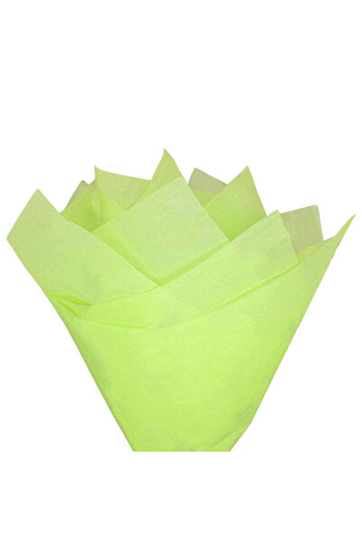 Papette Set of 100 pieces Tissue paper 17g LIME GREEN - 50 x 75cm
