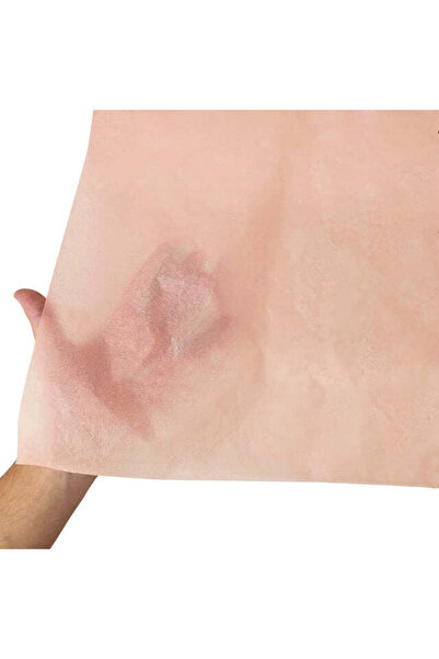 Papette Set of 50 pieces Tissue paper 17g PEACH - 50 x 75cm