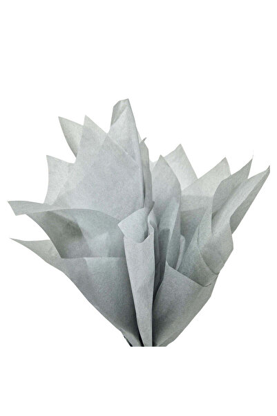 Papette Set of 100 pieces Tissue paper 17g GREY - 50 x 75cm