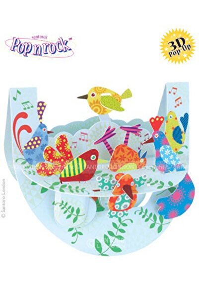 Santoro Felicitare 3D Popnrock Pasari multicolore