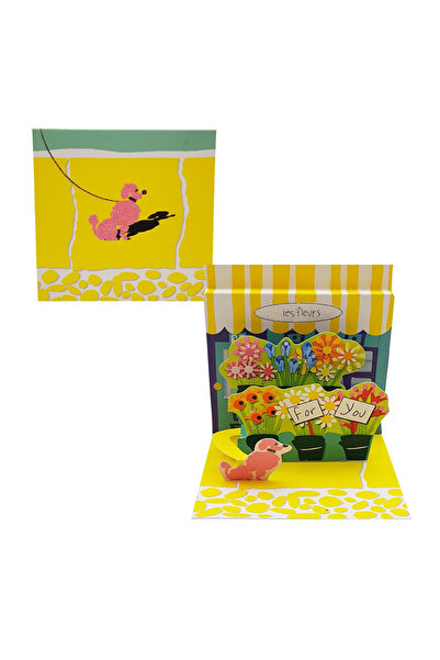 PopShots Minifelicitare 3D Florarie