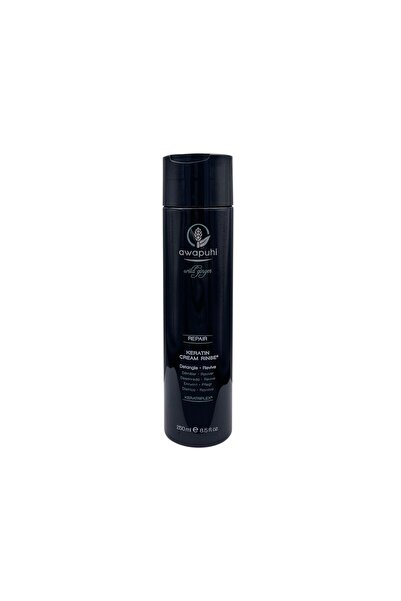 AWAPUHI WILD GINGER By Paul Mitchell, Repair, Keratin, Hair Cream Conditioner...