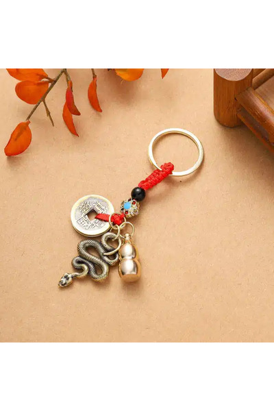 Feng Shui Amuleta cu sarpe auriu, wu lou si monede chinezesti