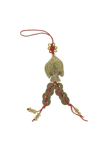 Feng Shui Canaf cu crapul norocos cu nod mistic si opt monede chinezesti