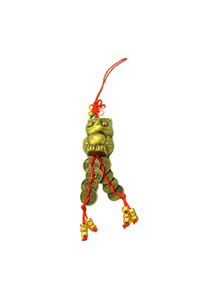 Feng Shui Amuleta cu bufnita si monede