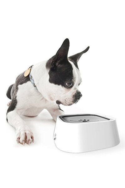Manolex Water Bowl for Dogs and Cats with Floating Plate, Lid 1.5L, Dimensions 23x18x8 cm
