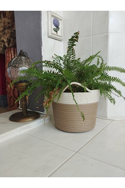 bayram taşcıoğlu home desing سلة زهور 22*18 سم، سلة هدايا مع أواني زهور