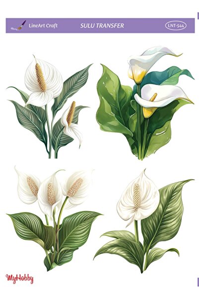 LİNEART Sulu Transfer No:LNT544-25x35cm