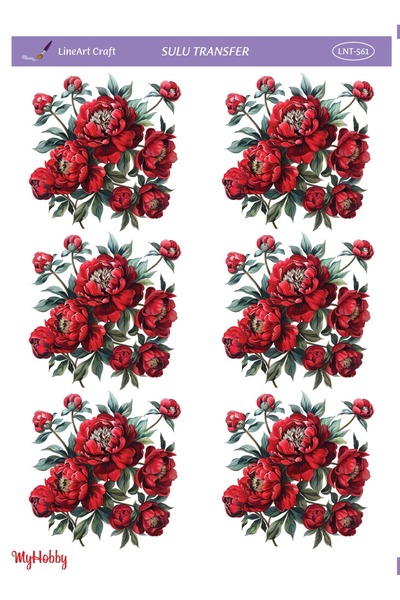 LİNEART Sulu Transfer No:LNT5-25x35cm