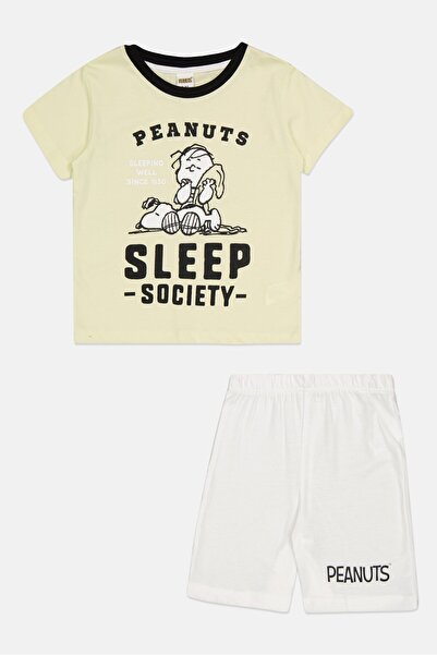 PEANUTS Toddlers Boy 2 Piece Short Sleeve Top And Shorts Set, Multicolor