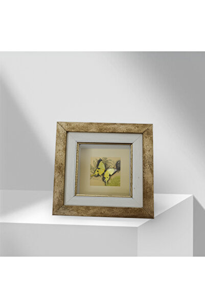 Rolyaf tasarım merkezi Kelebek Desenli Rölyef Duvar Aksesuarı