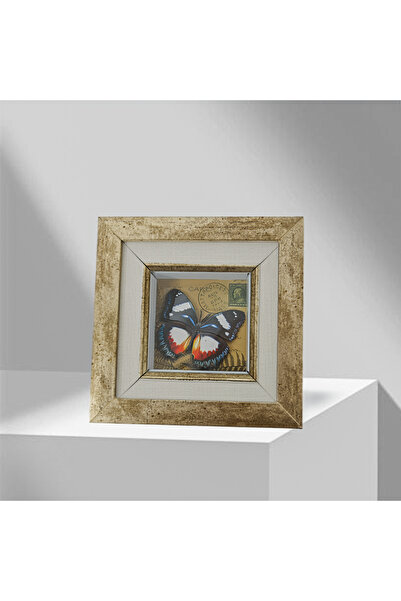 Rolyaf tasarım merkezi Kelebek Desenli Rölyef Duvar Aksesuarı