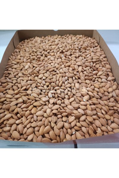 KAYISI CENTER Toptan Kayısı Çekirdeği 25 Kg