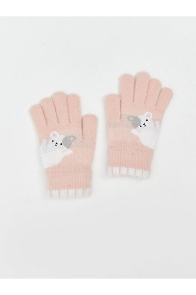 LC Waikiki Animal Embroidered Boys' Gloves (W5)