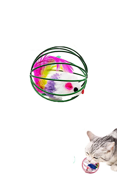 Ganjem كرة لعب للقطط، لعبة صيد الفئران في القفص، كرة نشاط ممتعة للحيوانات الأ...