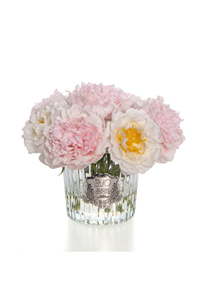 BUON ODORE İNGİLİZ ŞAKAYIK SILVER PEMBE ARAJMAN