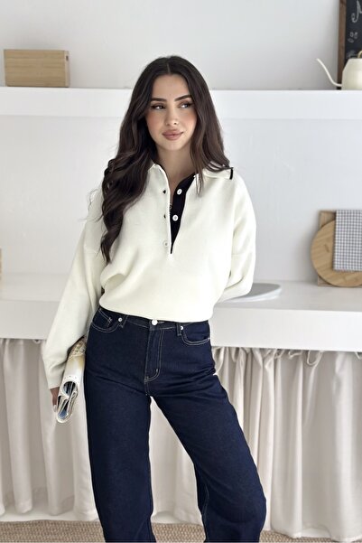 Noi Belis Basic Polo Neck Half Placket Buttoned Knit Sweater Aw25Kz0049