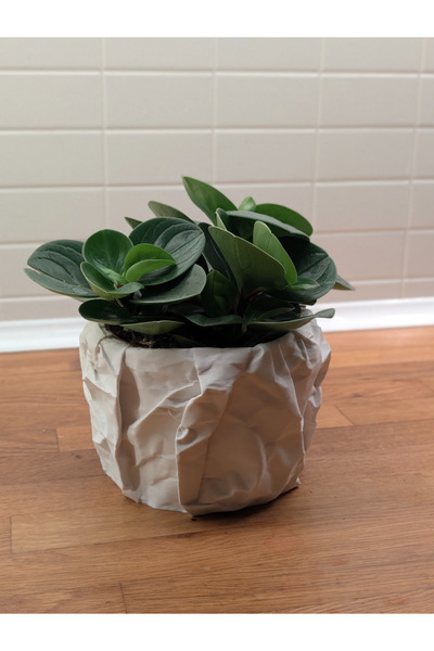 Szdesing Vază decorativă încrețită