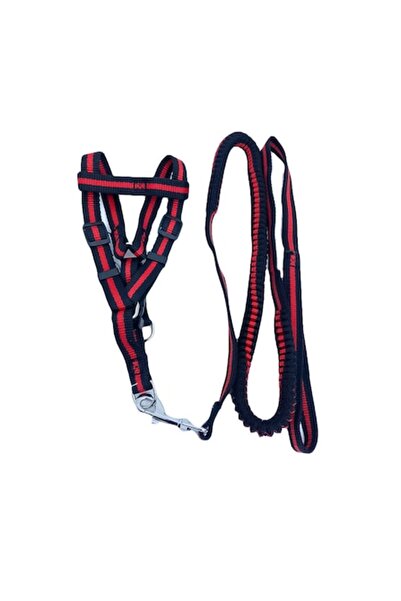 Doty Lesa cu ham Baxter pentru caini de talie foarte mica