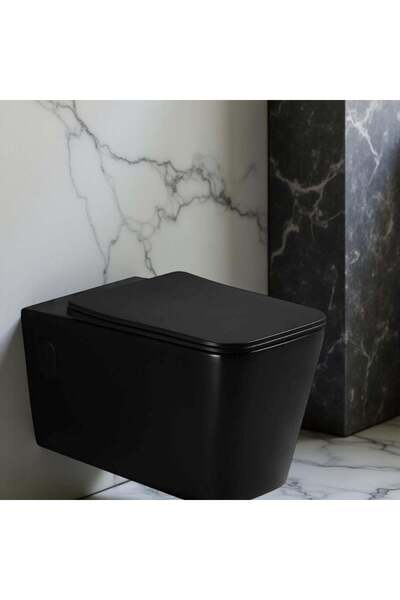 Danube Home مرحاض ميلانو معلق على الحائط | أسود مطفي | مرحاض عصري موفر للمساح...