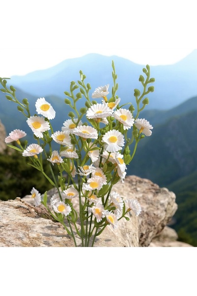 Lilac Home Yapay Yoğun Kır Çiçeği (Papatya) 50 Cm Toz Pembe