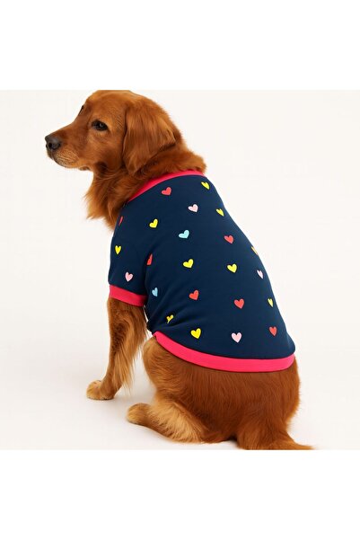 DOGİ&DOG Büyük Irk Colorful Köpek Sweati Köpek Kıyafeti (11-45KG)