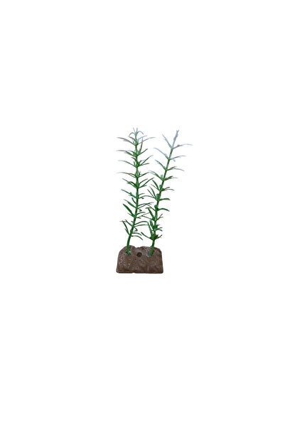 Kanki Pet Akvaryum Yapay bitki Süsü Kedi Tırnağı Yeşil Beyaz 14 cm