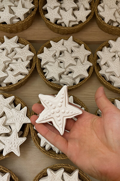 WeSank Boyanabilir Obje - Deniz Yıldızı