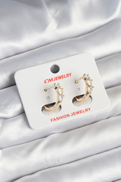 Lisinya Brass Gold Color Heart Zircon Stone Women's Earrings - Tygoo