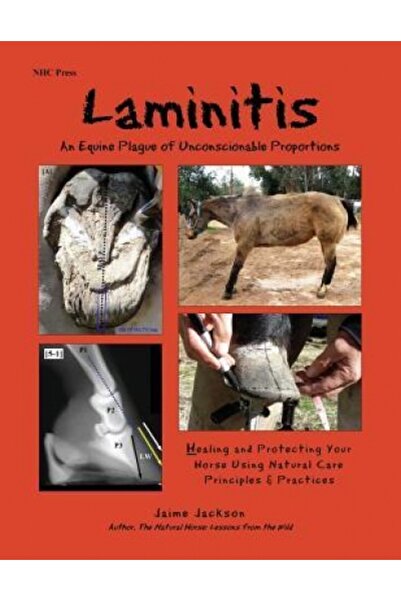 Cambridge Univ Pr Laminitis: An Equine Plague of Unconscionable Proportions: ...