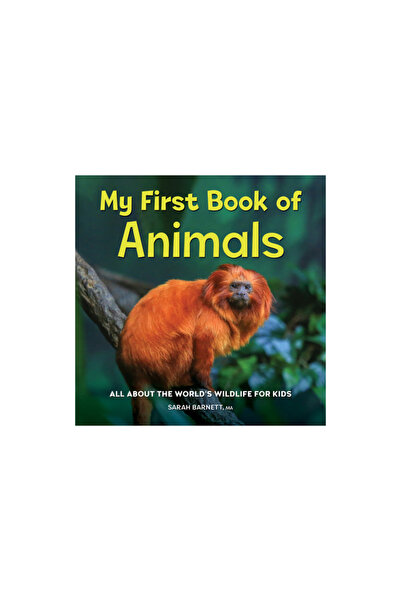 Rockridge Pr My First Book of Animals: All about the World's Wildlife for Kids