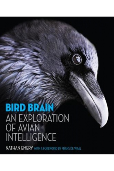 Princeton Univ Pr Bird Brain: An Exploration of Avian Intelligence