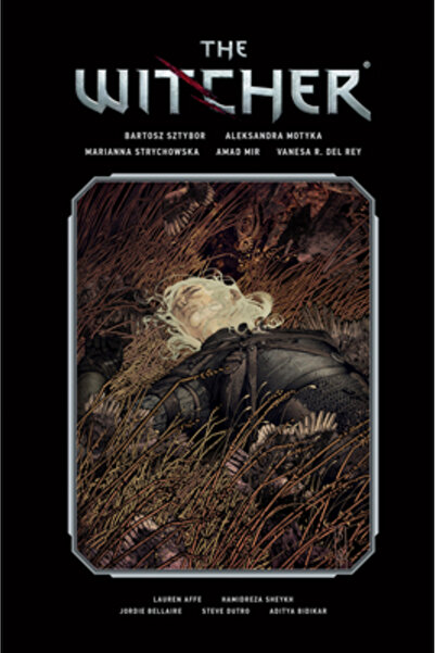 Dark Horse Comics The Witcher Library Edition Volume 2