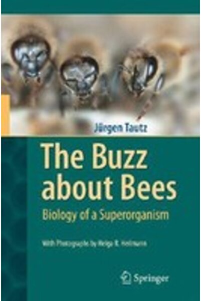 Springer The Buzz about Bees: Biology of a Superorganism