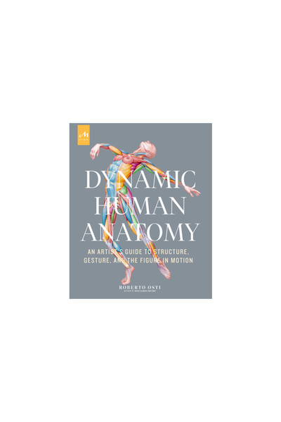 Monacelli Pr Dynamic Human Anatomy: An Artist's Guide to Structure, Gesture, and the Figure in Motion