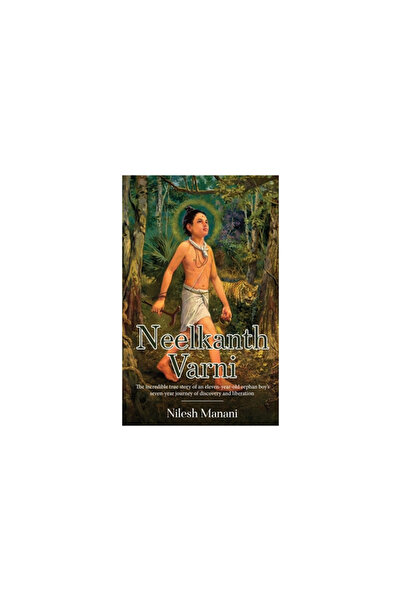 White Falcon Pub Neelkanth Varni