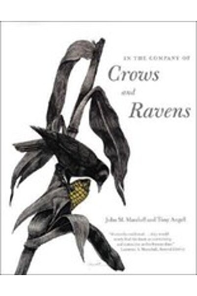 Yale University Press In the Company of Crows and Ravens