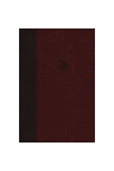 Nelsonword Pub Group Complete Word Study Old Testament