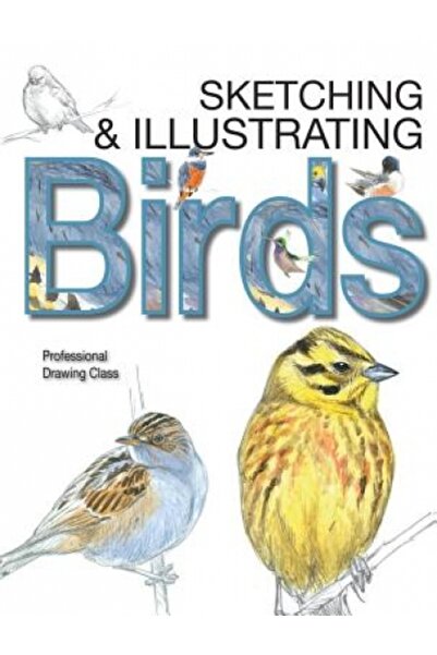 Harcourt Brace & Co Sketching & Illustrating Birds: Professional Drawing Class