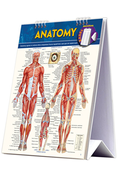 Golden Books Pub Co Inc Anatomy