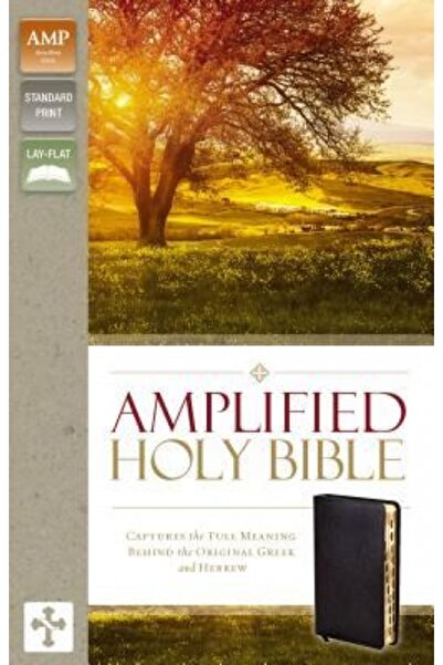 Zondervan Pub House Amplified-Am: Captures the Full Meaning Behind the Original Greek and Hebrew