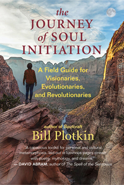 New World Lib The Journey of Soul Initiation: A Field Guide for Visionaries, ...