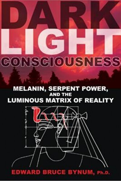 Cambridge Univ Pr Dark Light Consciousness: Melanin, Serpent Power, and the L...