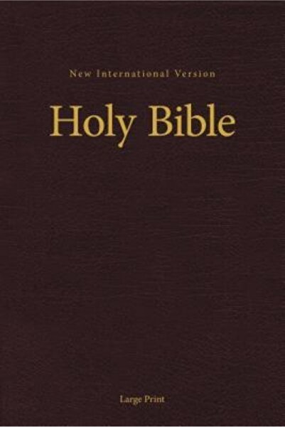 Zondervan Pub House NIV, Pew and Worship Bible, Large Print, Hardcover, Burgundy
