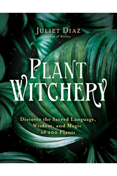 Hay House Plant Witchery: Discover the Sacred Language, Wisdom, and Magic of ...
