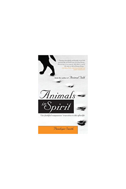 Beyond Words Publishing Animals in Spirit: Our Faithful Companions' Transitio...
