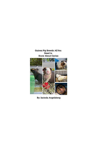 Blurb Inc Guinea Pig Breeds: All You Need to Know About Cavies